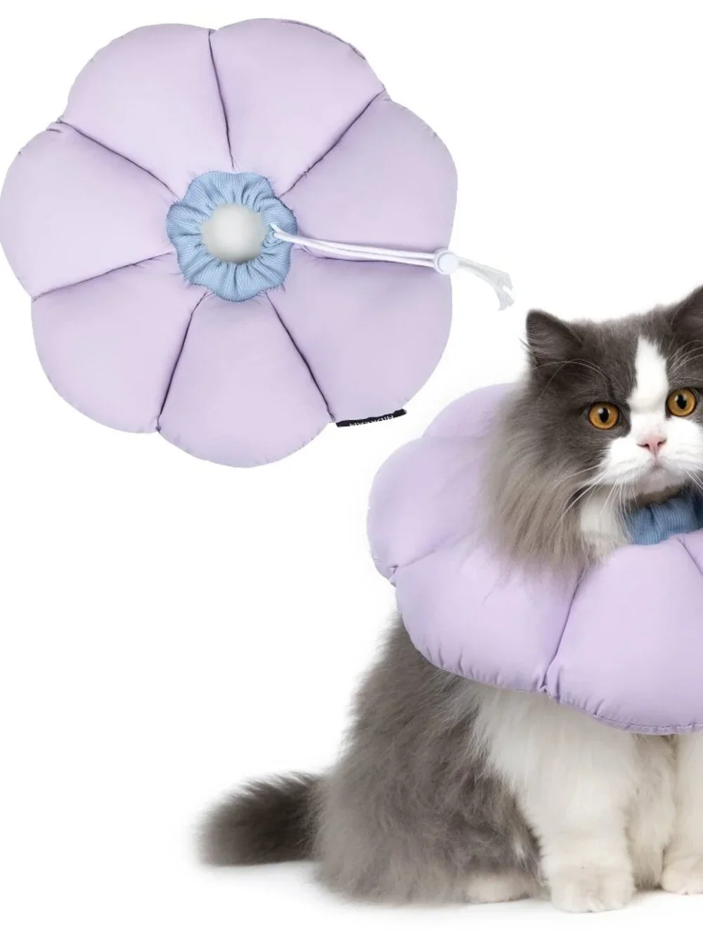 Cat Cone Collar N8628